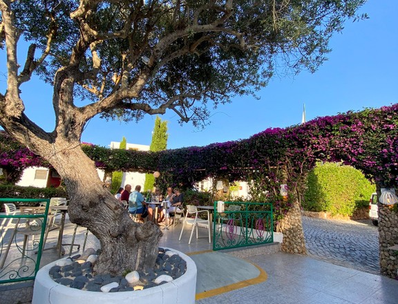 Trattoria Oliveira - Quinta do Paraíso, Praia do Carvoeiro